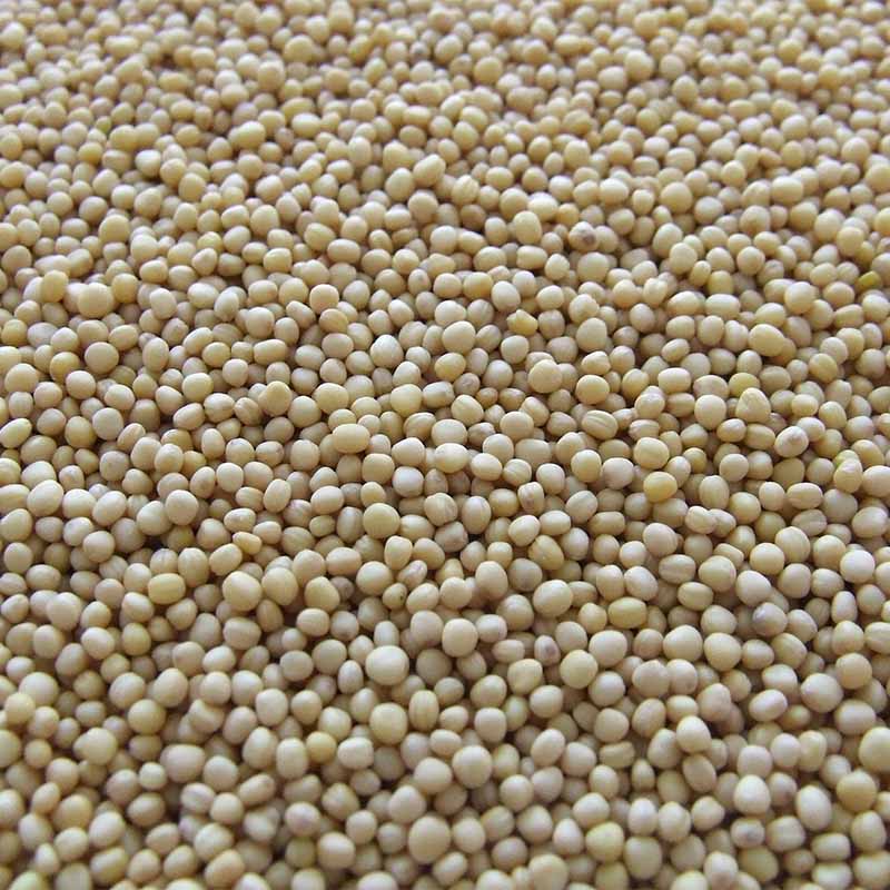 Soybeans
