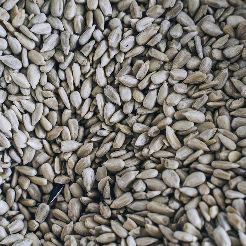 Sunflower Seeds